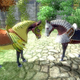 Image for article titled Top Oblivion DLC Revealed, Horse Armor Surprisingly Popular